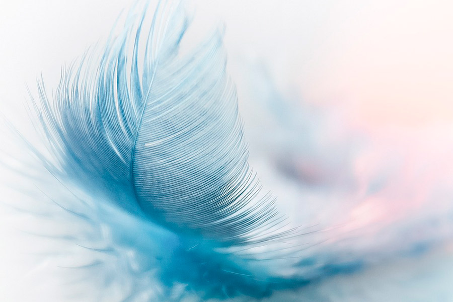 reiki angelical eleven chi